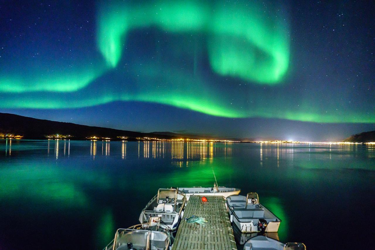 Vikran Vacation: Sea Fishing And Northern Lights מראה חיצוני תמונה